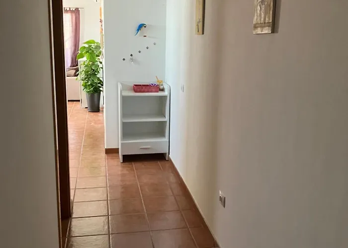 Narancsvirag Lejlighed Tejina de Isora